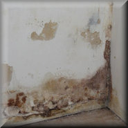 Optrekkend vocht preventie