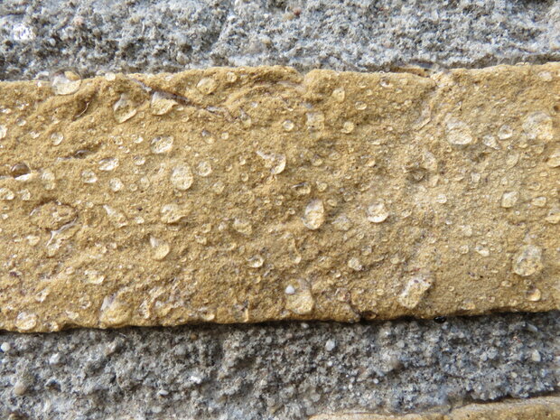 Hydrofoberen
